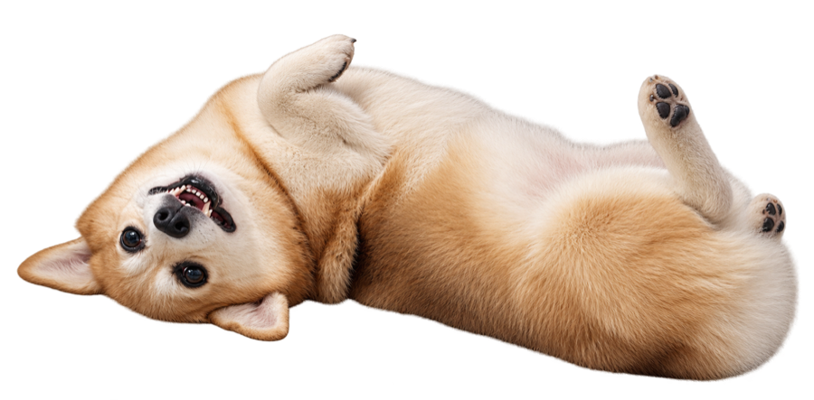 별이